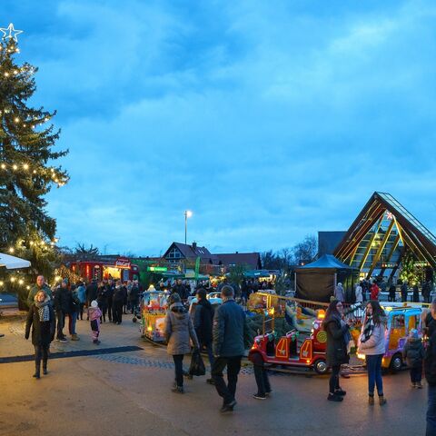 Marktstimmung zum Adventsfest