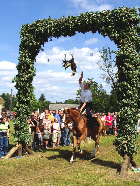 Hahnrupfen, Foto: Michael Schön, Lizenz: Amt Burg (Spreewald)