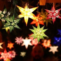 Weihnachtssterne, Foto: Jörg Giesecke, Lizenz: Jörg Giesecke