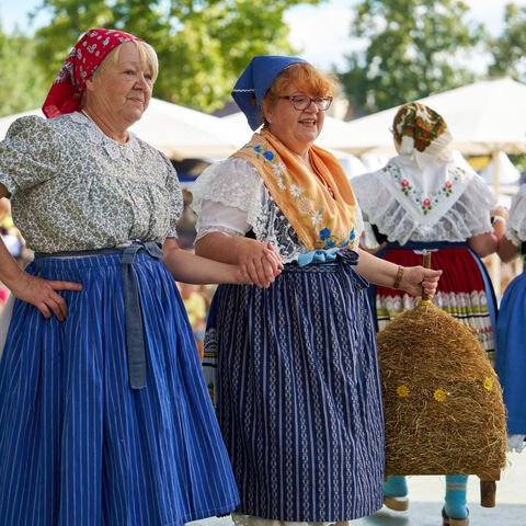 Spreew&auml;lder Handwerker- und Bauernmarkt in Burg (Spreewald)