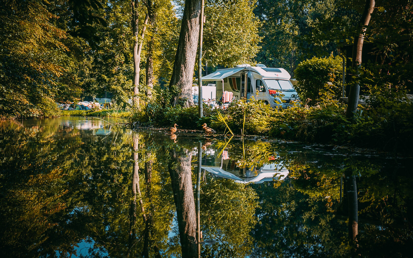 Direkte Wasserlage, Foto: Willi Löben