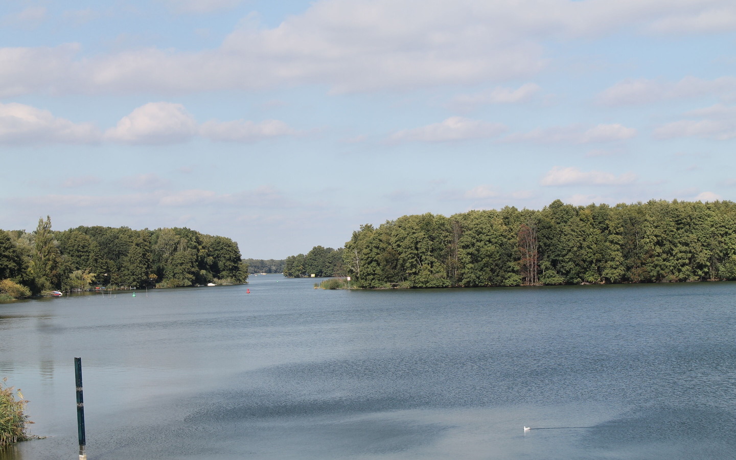 Viel Platz zum Schwimmen, Fot: TEG
